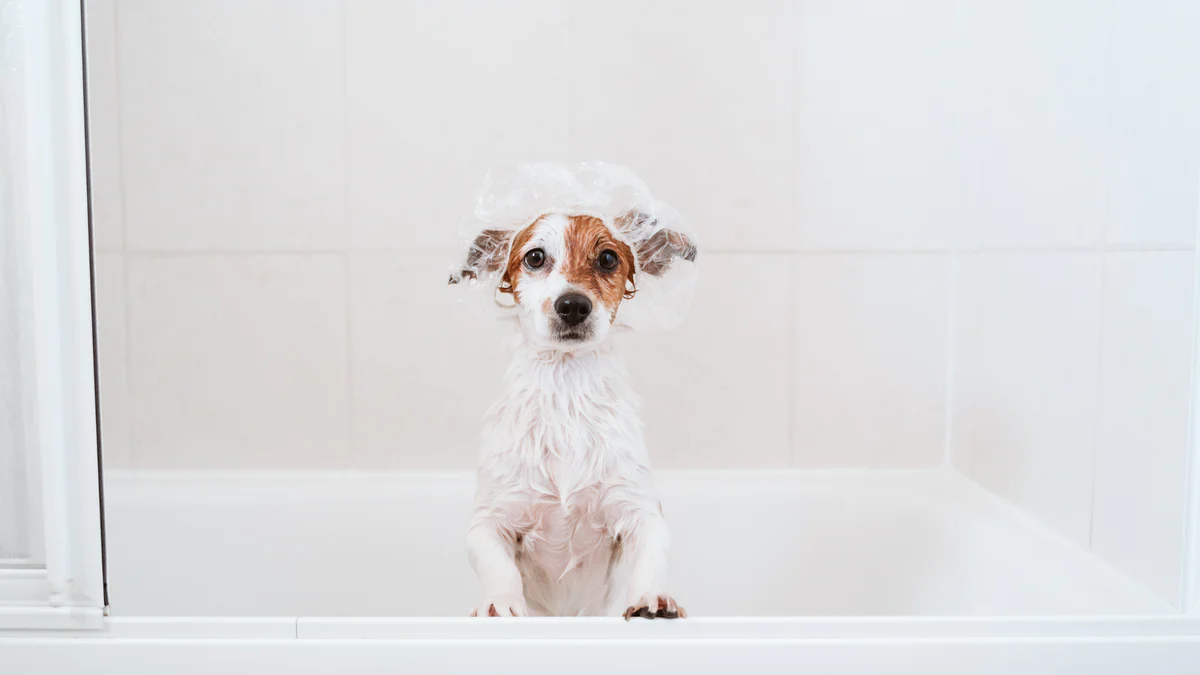 3 Pro Tips for Maintaining A Clean Home With Pets